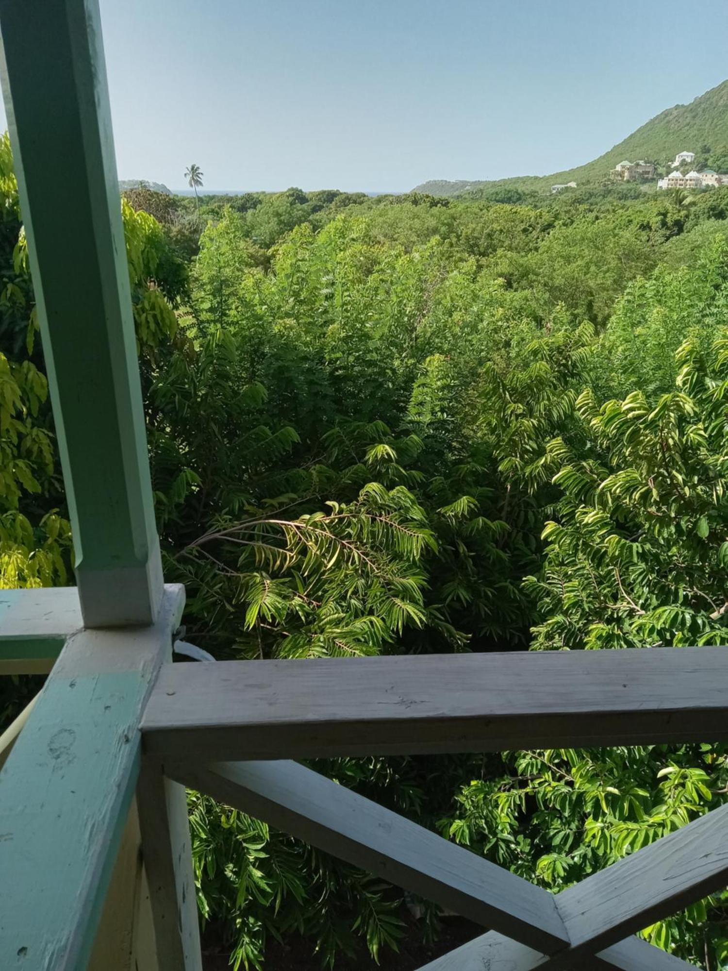 Apartment Unforgetable Gardens Falmouth Harbour Dış mekan fotoğraf