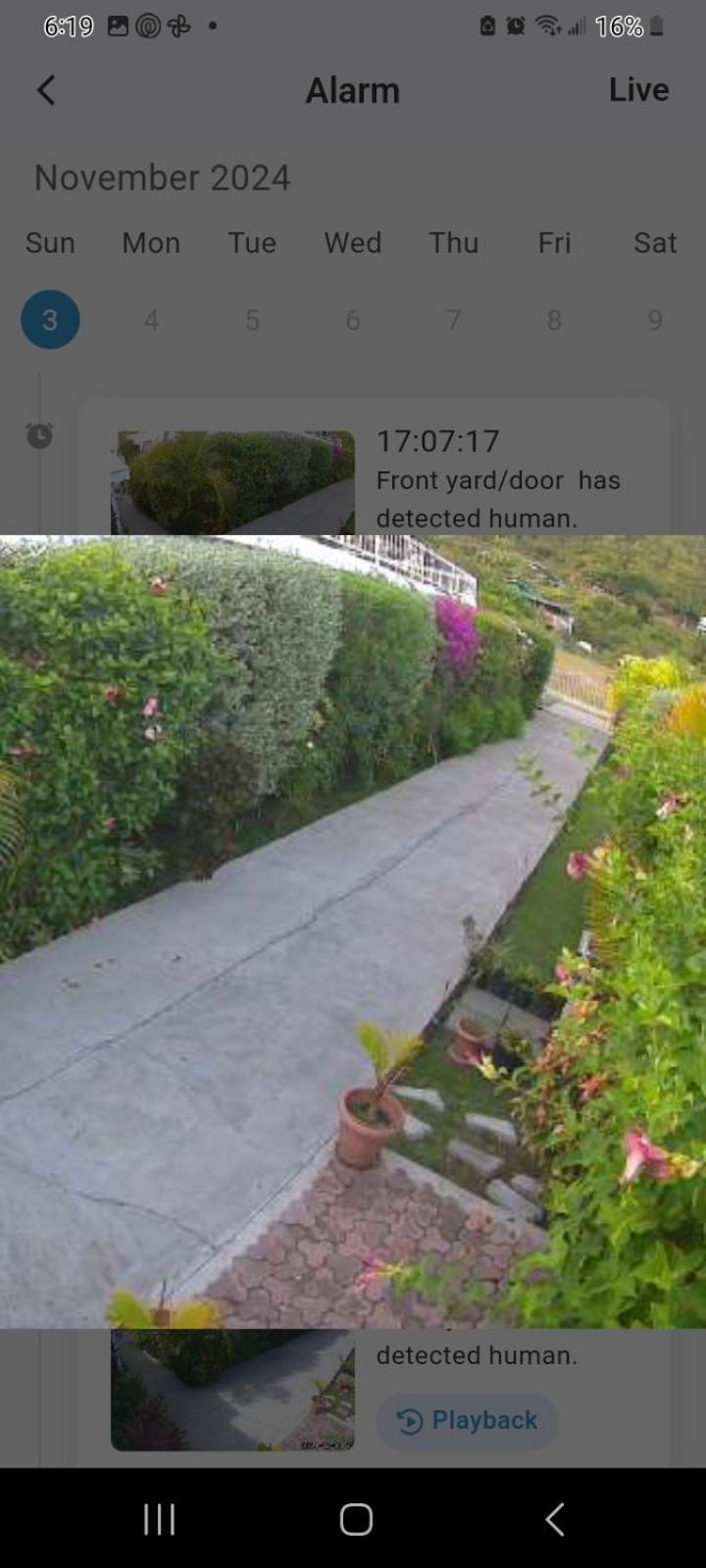 Apartment Unforgetable Gardens Falmouth Harbour Dış mekan fotoğraf